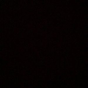 Meet your Posher, Isabella